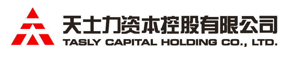迪威国际资本控股有限公司